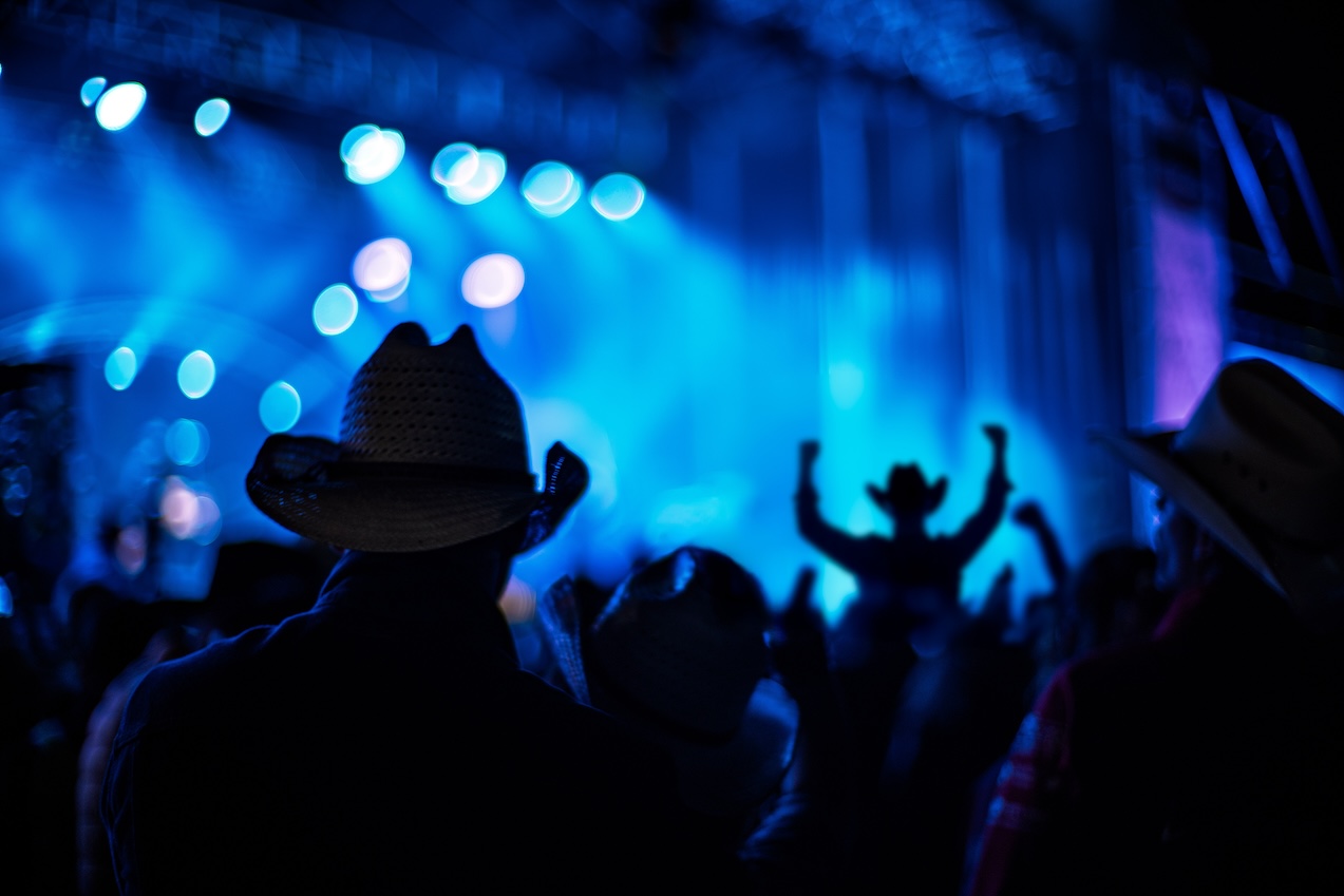 Silhouetted,Audience,With,Cowboy,Hats,At,A,Country,Music,Rock the Rook, Sarasota Memorial Hospital Foundation